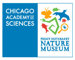 Chicago summer camps